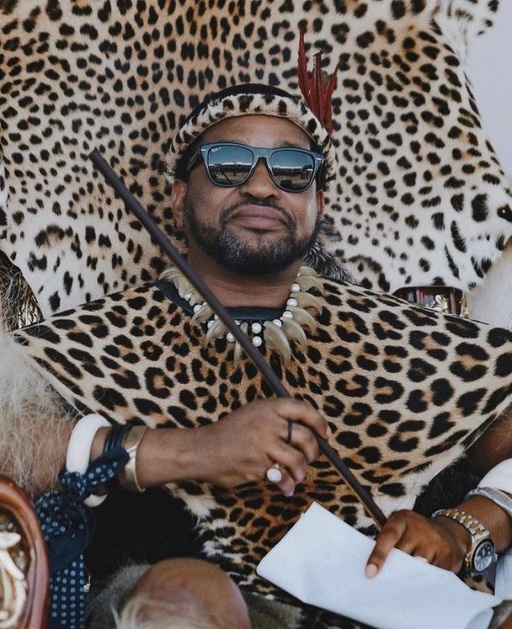 Africa de Sud - Regele Zulu, spitalizat cu suspiciune de otrăvire