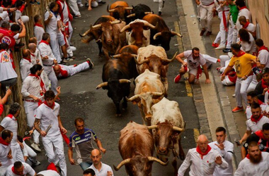 Şase răniţi uşor la prima eliberare a taurilor de San Fermin