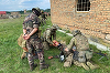 Militari francezi formează, în Polonia, combatanţi ucraineni discreţi