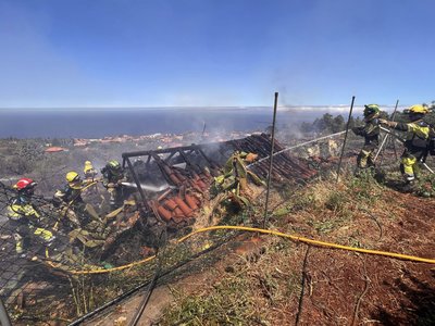 Insulele Canare: Peste 2.000 de hectare au ars în câteva ore. 2.500 de persoane au fost evacuate - VIDEO