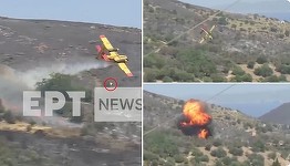 Doi piloţi, primele victime ale incendiilor care devastează Grecia - VIDEO