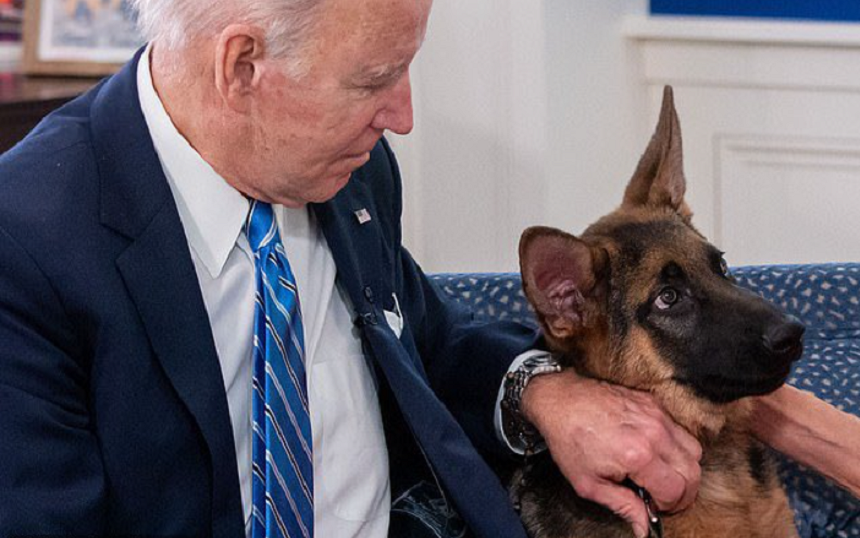 Commander, câinele lui Joe Biden la Casa Albă, acuzat că a muşcat de zece ori în patru luni agenţi Secret Service, trimis la dresat. Una dintre victime, condusă la spital