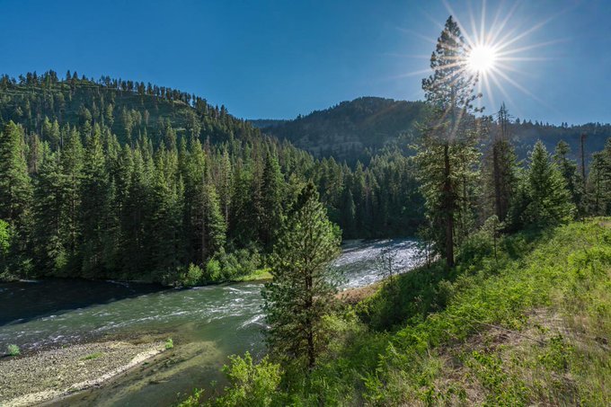 Membrii unei familii din Colorado au murit încercând să trăiască "în afara reţelei”