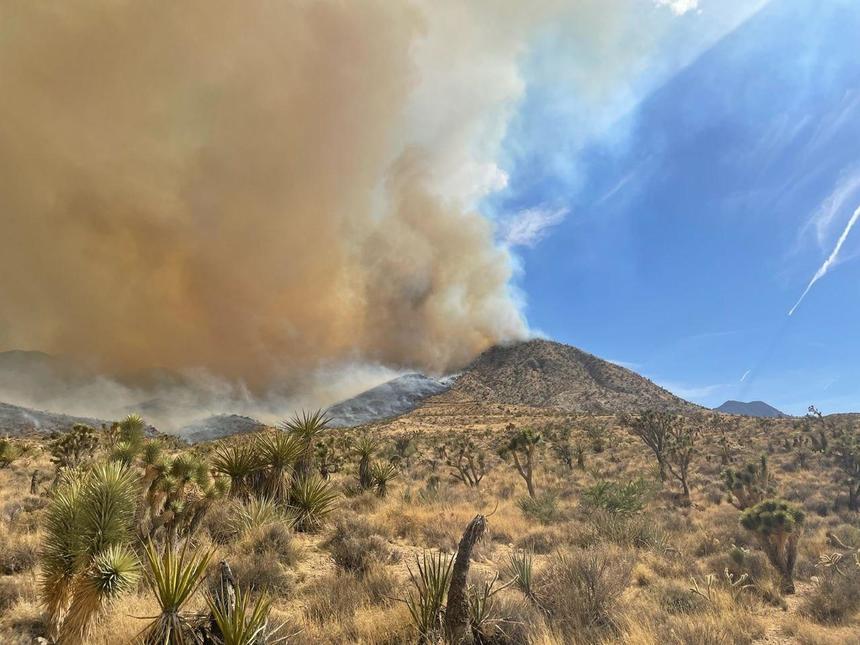 Un incendiu scăpat de sub control se extinde din California în Nevada - VIDEO