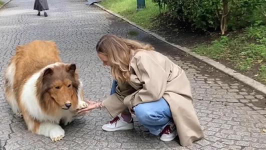 Un japonez cheltuie 13.000 de euro să se transforme în câine şi îşi face prima apariţie publică într-un clip vizualizat de 3,9 milioane de ori în zece zile pe YouTube
