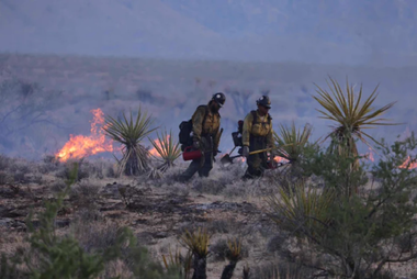 Trei morţi în SUA, în coliziunea a două elicoptere ale pompierilor care luptau împotriva unui incendiu în California