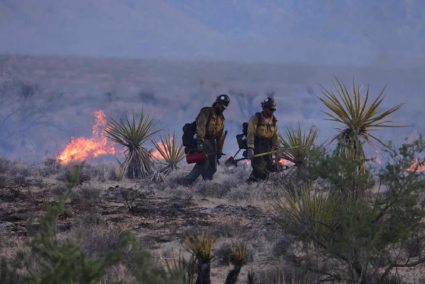 Trei morţi în SUA, în coliziunea a două elicoptere ale pompierilor care luptau împotriva unui incendiu în California