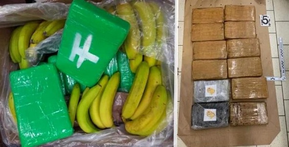 Poliţia din Cehia a confiscat 646 de kilograme de cocaină ascunse printre banane