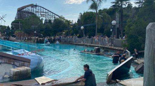 Şapte răniţi în sudul Germaniei, într-un nou accident la parcul de atracţii Europa-Park