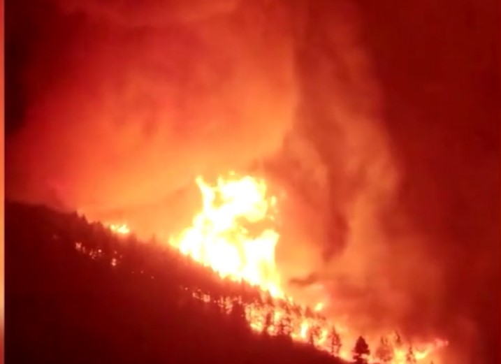 Parcul naţional din Tenerife este devastat de incendii de vegetaţie, autorităţile au decis evacuarea mai multor localităţi