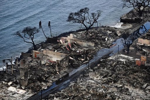 Medicii, dentiştii şi antropologii se străduiesc să identifice victimele incendiilor din Hawaii. Ce fac echipele DMORT şi cum funcţionează o morgă mobilă. Peste 1.000 de localnici din Maui sunt daţi dispăruţi. Preşedintele Biden este aşteptat luni în zonă