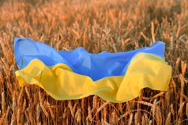Ucraina ar putea folosi o nouă rută pe Marea Neagră pentru transporturile de cereale