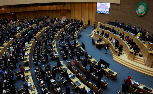 Uniunea Africană suspendă Nigerul în instituţiile sale, după lovitura de stat, şi afişează o poziţie rezervată faţă de o eventuală intervenţie militară CEDEAO