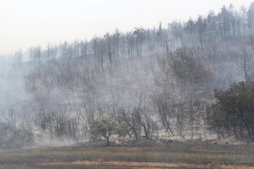 Optsprezece cadavre arse, posibil ale unor imigranţi, au fost găsite într-o pădure din Grecia devastată de incendii