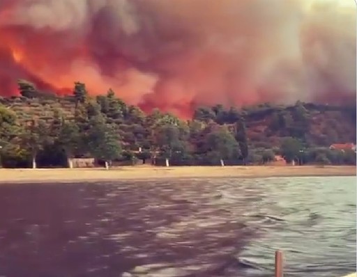 Copernicus: Incendiul de vegetaţie de la Alexandroupolis, "cel mai grav de pe teritoriul european din ultimii ani". Pompierii greci luptă cu peste 500 de focare. 19 cadavre arse au fost găsite într-o pădure. Aproape 80 de persoane au fost arestate