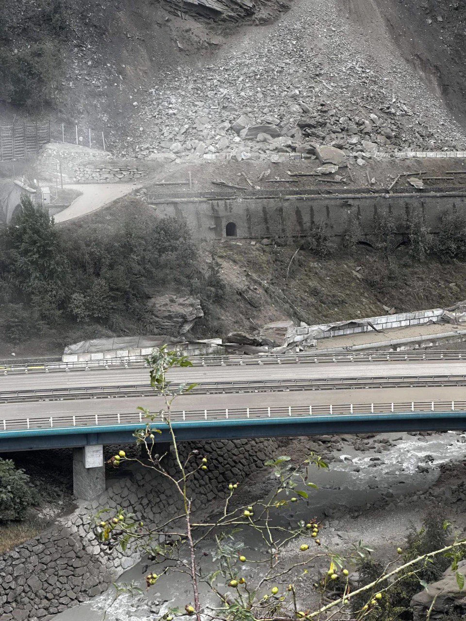 Il traffico ferroviario tra Francia e Italia ha…