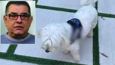 Un cap al Camorrei napolitane, Luigi Cacciapuoti, arestat de carabineri într-o vilă somptuoasă la Villaricca, la periferia Napoli, mulţumită unui caniş