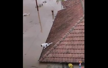Inundaţii în Grecia - "Câmpia Tesalia s-a transformat într-un lac imens". Pompierii desfăşoară operaţiuni de salvare riscante pentru a ajunge la locuitorii blocaţi