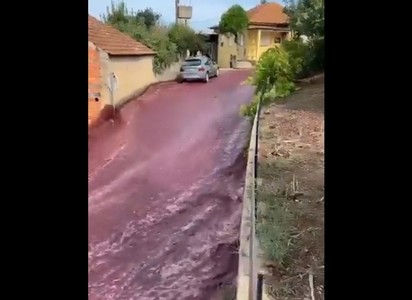 Un sat din Portugalia a fost inundat de un torent de vin roşu - VIDEO