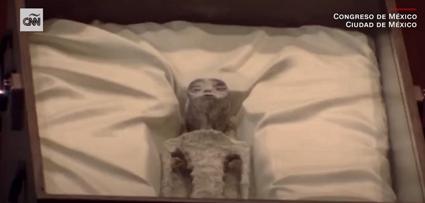 Mexic - Două pseudo-mumii de extratereştri au fost prezentate deputaţilor - VIDEO