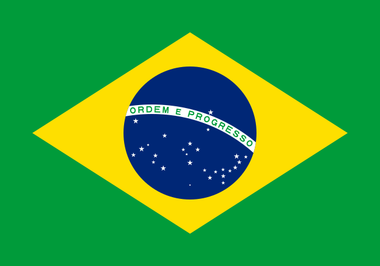 Brazilia: 14 persoane au murit după ce un avion s-a prăbuşit în nordul statului Amazonas