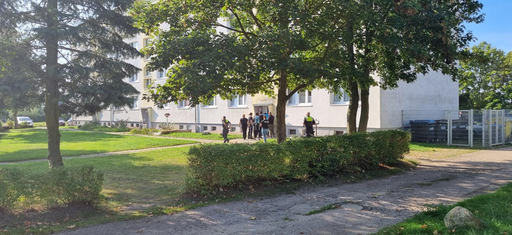 Un adolescent în vârstă de 14 ani, suspectat de uciderea unui copil în vârstă de şase ani, arestat în nord-estul Germaniei, după mai multe ucideri între copii