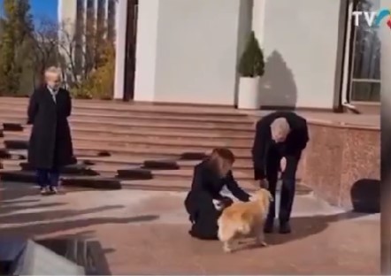 Câinele preşedintei Maia Sandu l-a muşcat pe preşedintele Austriei - VIDEO, FOTO
