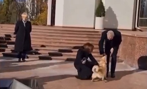 Preşedintele Austriei, muşcat de câinele Maiei Sandu, i-a oferit preşedintei R. Moldova o jucărie pentru Codruţ: “Începutul unei prietenii frumoase” - VIDEO
