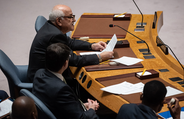 Ambasadorul palestinian Riyad Mansour cere Consiliului de Securitate al ONU un ”armistiţiu umanitar imediat” în Fâşia Gaza