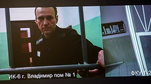 Franţa şi SUA denunţă noile condiţii de detenţie ale lui Navalnîi 