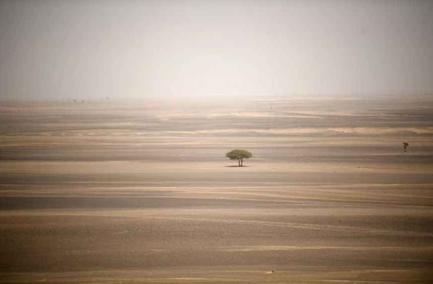 Justiţia franceză deschide o procedură de extrădare a unui cuplu francez care plănuia să-şi ”sacrifice” în Sahara fiul în vârstă de cinci ani ”posedat”