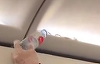 Un şarpe descoperit în zbor într-un avion aparţinând companiei malaysiene Air Asia, înainte de aterizare la Phuket, în Thailanda