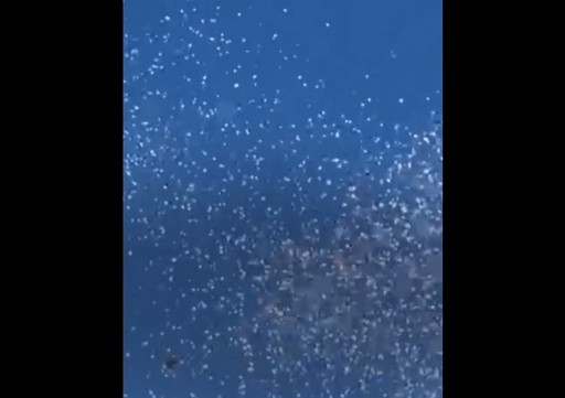 Israelul lansează pliante în încercarea de a-i localiza pe ostaticii din Gaza - VIDEO