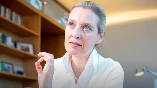Partidul de extremă dreapta Alternativa pentru Germania vrea un referendum în vederea ieşirii Germaniei din UE (Dexit), în cazul în care ajunge la putere, anunţă într-un interviu acordat Financial Times o copreşedintă AfD, Alice Weidel. Ea consideră Brexitul un model