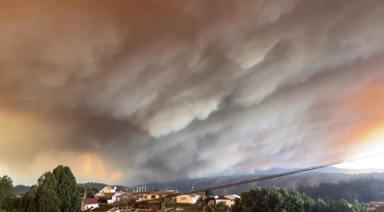 Incendiile de pădure din Chile - Bilanţ provizoriu de zece morţi şi a fost declarată starea de urgenţă - VIDEO