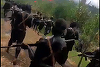 Violenţe tribale în Papua Noua Guinee: Cel puţin 64 de oameni au murit 