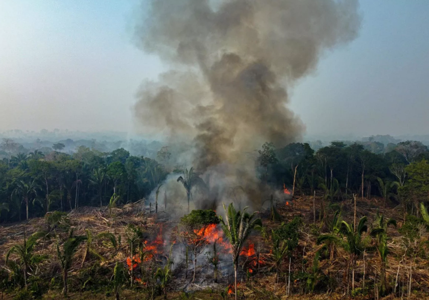 Aproape 3.000 de incendii de pădure în Amazonia, un record, în februarie, de la începutul înregistrărilor, în 1999