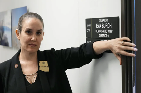 O aleasă locală din Arizona, Eva Burch, anunţă în Senat că vrea să avorteze