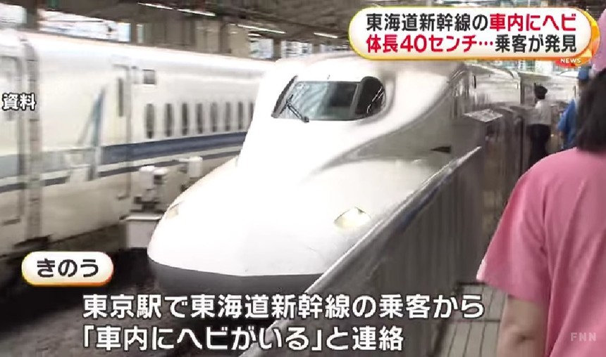 Aproape nimic nu poate provoca întârzierea trenurilor de mare viteză în Japonia. Şi, totuşi, un şarpe a făcut-o 