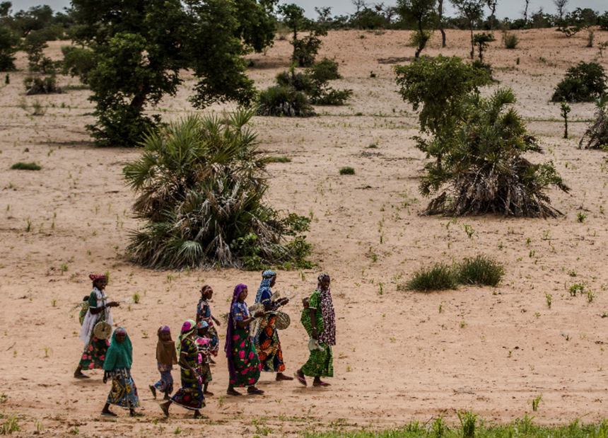 Un val de căldură mortal, la începutul lui aprilie, în Sahel, cu un vârf de 48,5°C, cauzat de o modificare climatică ”de origine umană”, relevă într-un raport reţeaua World Weather Attribution