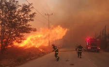 Grecia  - Numărul incendiilor de vegetaţie, cu 22% mai mare de la începutul anului 2024, faţă de perioada similară a anului trecut