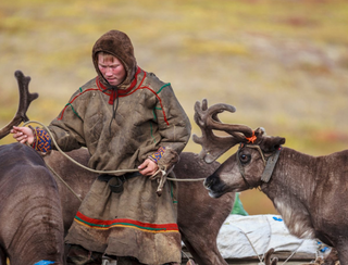 Finlanda continuă să încalce drepturile sami, singurul popor autohton din Europa, arată un raport