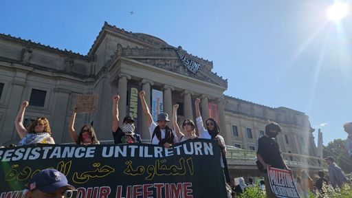 Manifestanţii pro-palestinieni au ocupat zone din Muzeul Brooklyn - FOTO, VIDEO