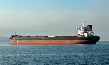 Forţele navale ale SUA au salvat duminică echipajul unei nave elene lovită de rebeli Houthi în Marea Roşie