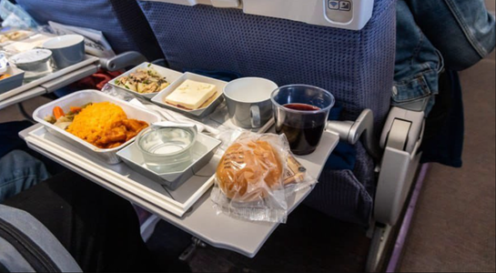 Un avion Delta Airlines de la Detroit la Amsterdam, nevoit să se întoarcă din drum şi să aterizeze la New York în urma intoxicării a 70 de pasageri cu mâncarea servită la bord