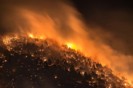 Peste un milion de hectare de păduri, cuprinse de incendii în Rusia