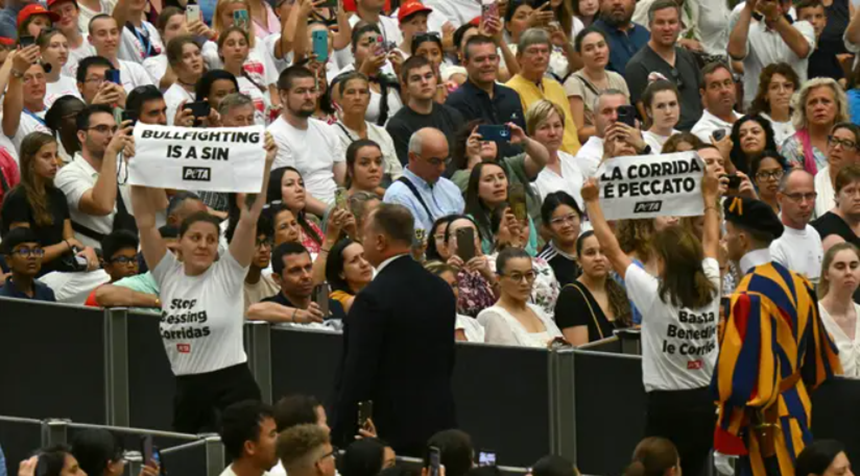 Activiste ale cauzei animalelor din PETA întrerup audienţa Papei Francisc