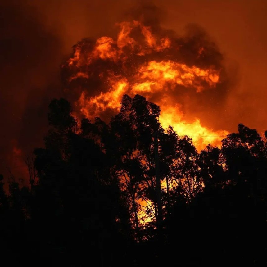 Turcia: un incendiu de pădure a ajuns în zone rezidenţiale din Izmir