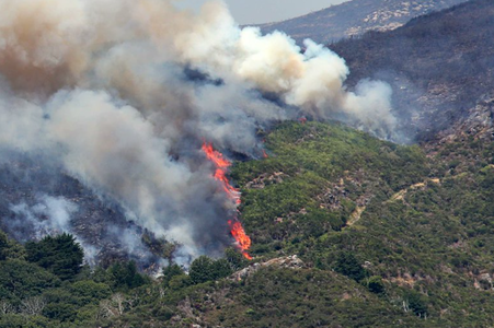 Portugalia solicită ajutorul UE, deoarece incendiul de vegetaţie ameninţă o pădure inclusă în lista UNESCO
