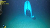 Paza de Coastă americană publică imagini submarine cu submersibilul Titan care a făcut implozie în 2023